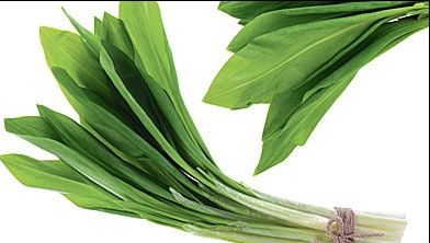 Fresh Refresh. Leurda, planta minune a primăverii 