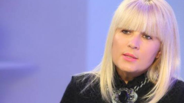 ELENA UDREA: Rolul de prim-ministru i s-ar potrivi mănușă lui Traian Băsescu