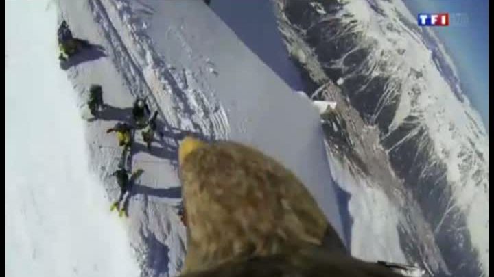 Imagini SPECTACULOASE surprinse de un VULTUR în Alpi