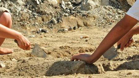 Descoperirea arheologică, veche de 50 de milioane de ani, făcută de un copil