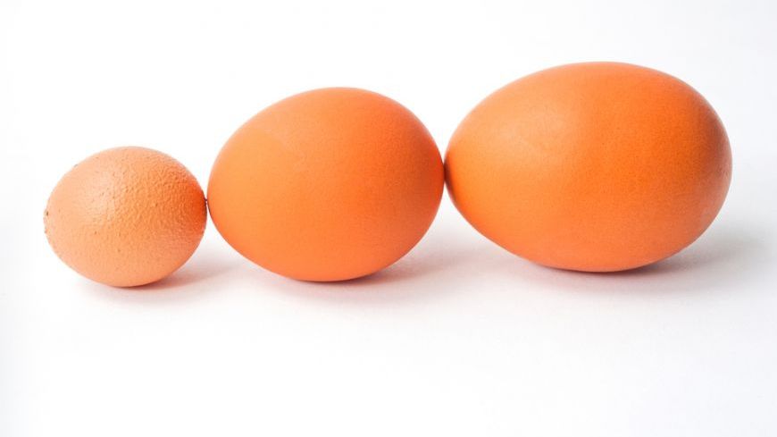  Care e diferenţa dintre un ou mic şi un ou mare