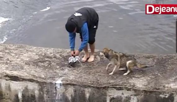Gest emoţionant făcut de un tânăr de 25 de ani. Au şi CÂINII EROII LOR 