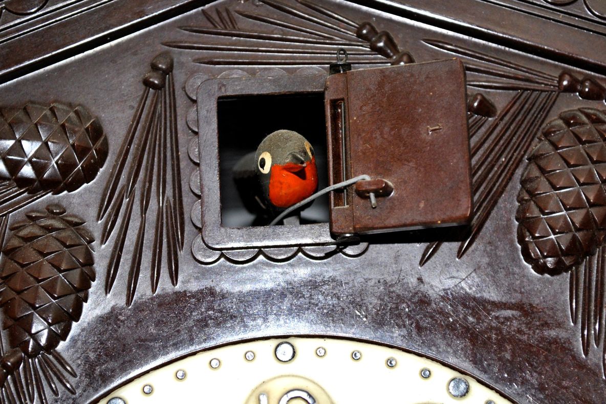 Judecătoare urmărită penal pentru corupţie. A primit bani şi păstrăvi, a pretins şi un ceas cu cuc