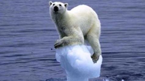 Unde VA LOVI ÎNCĂLZIREA GLOBALĂ CEL MAI GRAV. Dezastrul va afecta întreaga lume