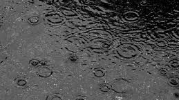 COD PORTOCALIU în judeţul Olt