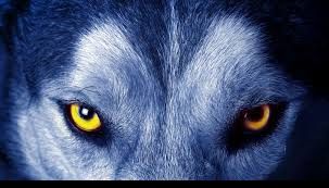 DIETA VÂRCOLAC: un nou trend de slăbire de care trebuie să ştii