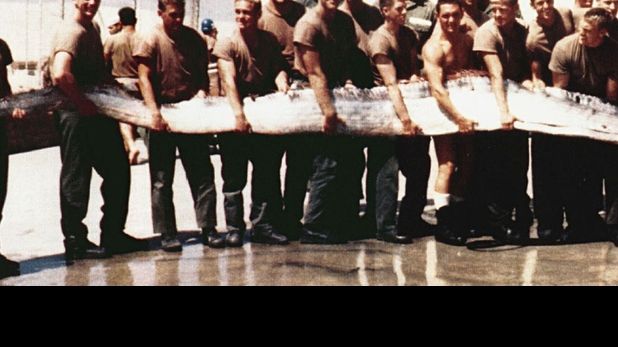 ADEVĂRUL despre MONSTRUL MARIN, creatura care a dat naştere mai multor legende