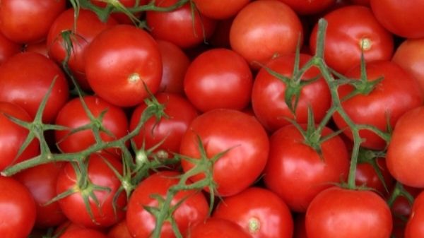 10 beneficii surprinzătoare ale roşiilor