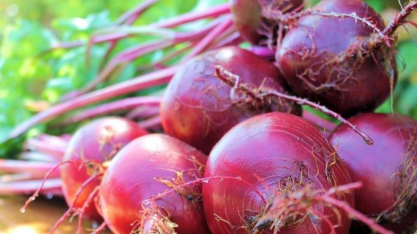 SFECLA ROŞIE: 10 motive să o incluzi în dieta ta