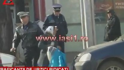 Imagini incredibile din România: TRAFICANŢII DE URZICI, ridicaţi de Poliţia locală 