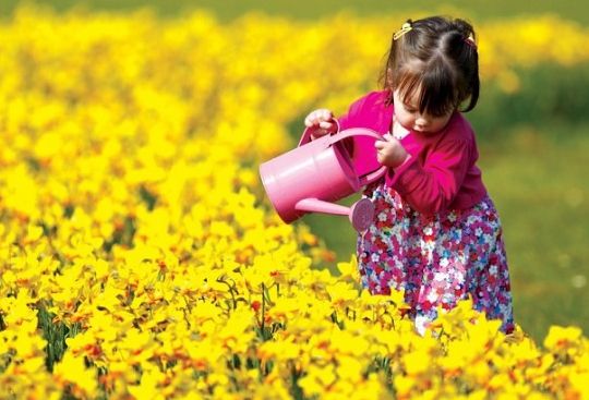 Cum va fi VREMEA luni şi marţi: Prognoza meteo în ţară şi în Bucureşti