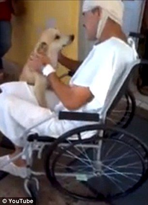 Asta e IUBIRE! Câinele care şi-a aşteptat stăpânul, un om al străzii, în faţa spitalului 8 zile