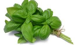 BUSUIOCUL: 6 efecte magice şi vindecătoare