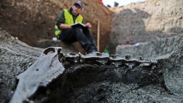 DESCOPERIRE INCREDIBILĂ în Piața Unirii din Timişoara