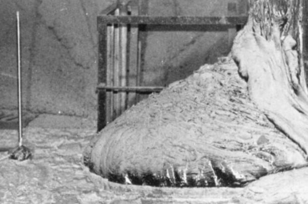 Cine a văzut pe viu ce apare în poza asta, a murit! Află explicația șocantă!