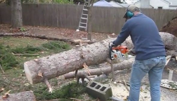 A tăiat un copac cu drujba şi a avut un şoc. Momentul magic a fost surprins de camera video