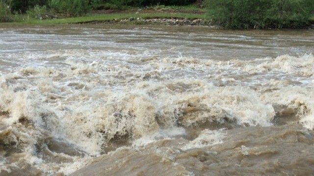 Cadavrul unui bărbat cu capul zdrobit cu parul, găsit ascuns în albia unui râu