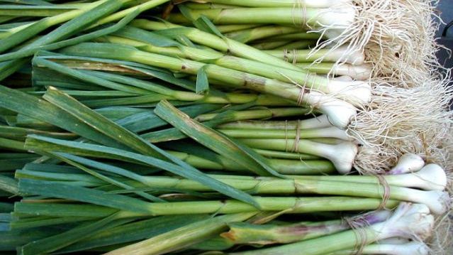 Beneficiile miraculoase ale consumului de usturoi verde