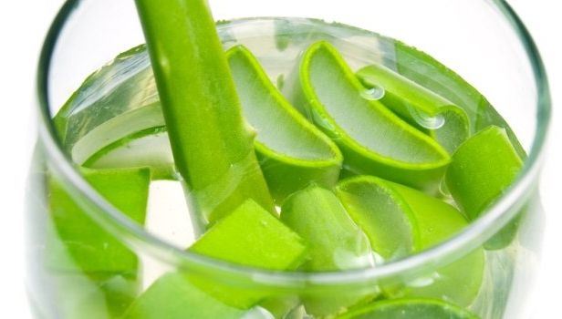 Tratamentul MIRACULOS CU ALOE, după reţeta originală a călugărului Romano