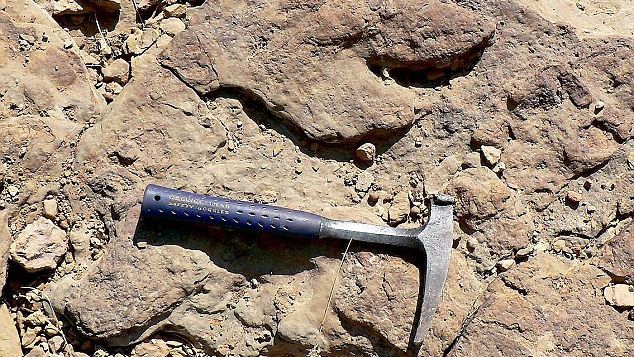 DESCOPERIRE uluitoare în județul Alba