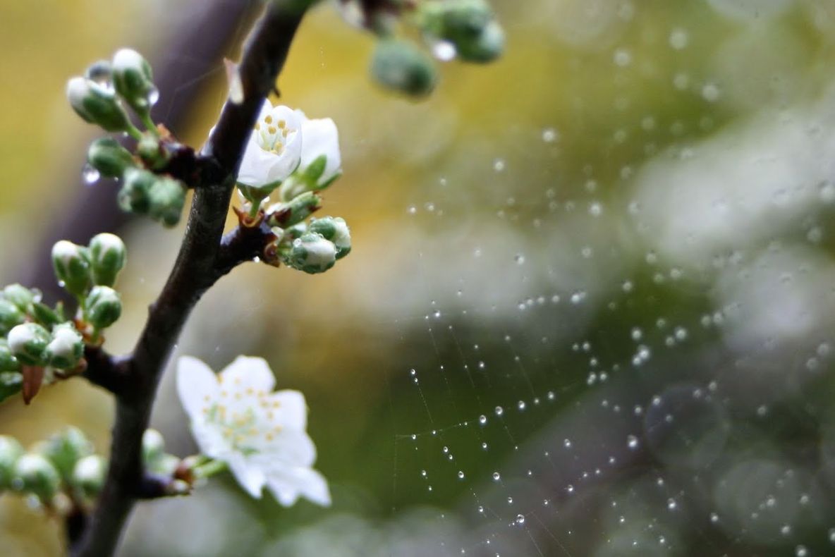 PROGNOZA METEO pentru trei zile: temperaturi scăzute, vreme capricioasă şi PLOI