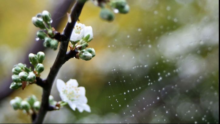 VREMEA DE PAŞTE: Prognoza meteo pentru următoarele zile