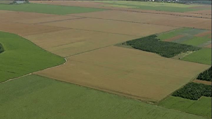 Cum se fură Transilvania