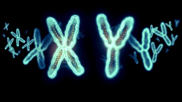 Vor dispărea bărbaţii? Ce spun oamenii de ştiinţă despre soarta cromozomului Y