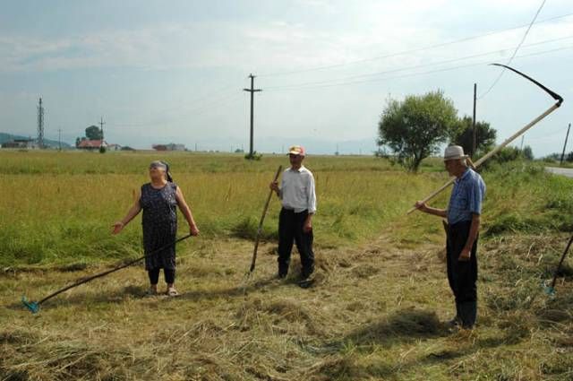 BANCUL ZILEI. Un ardelean stătea cu soacra pe câmp și...