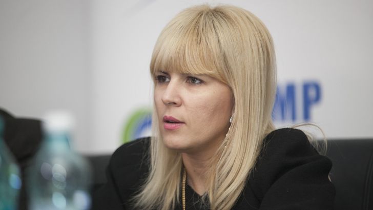 Udrea: În PNL e nebunie mare, să se decidă dacă sunt la guvernare sau în opozţie