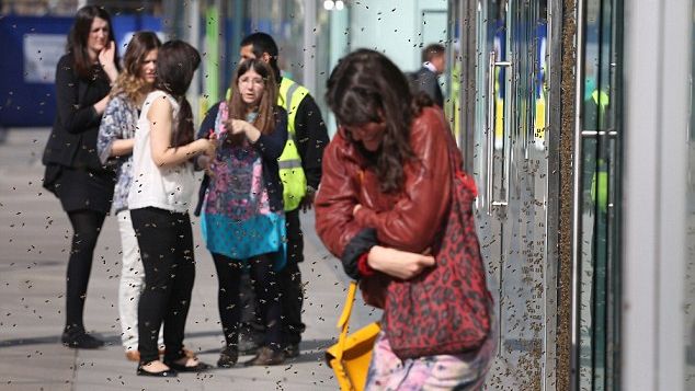 Se plimbau în centrul orașului când ceva șocant s-a întâmplat