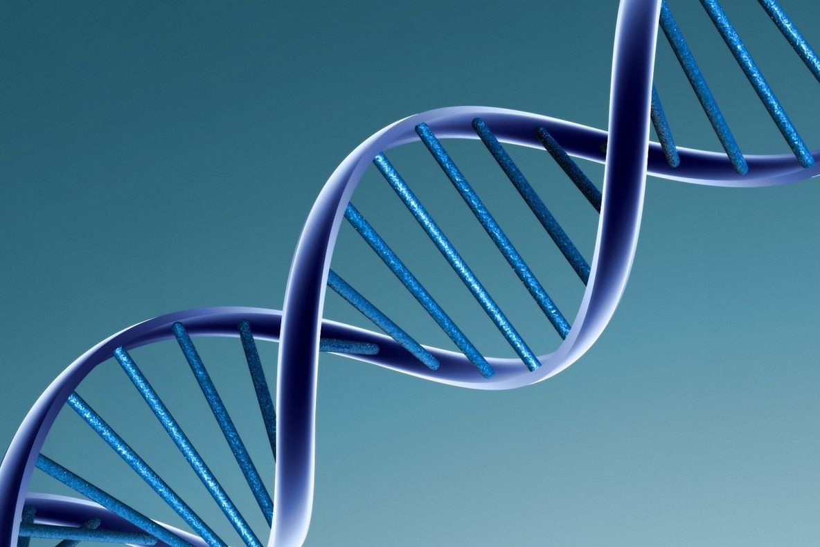 Primul organism viu semi-sintetic din lume, creat de cercetătorii americani