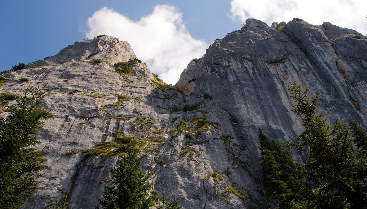 SUPRAVIEŢUIRE MIRACULOASĂ a unui român din Anglia, care a căzut de la peste 20 de metri