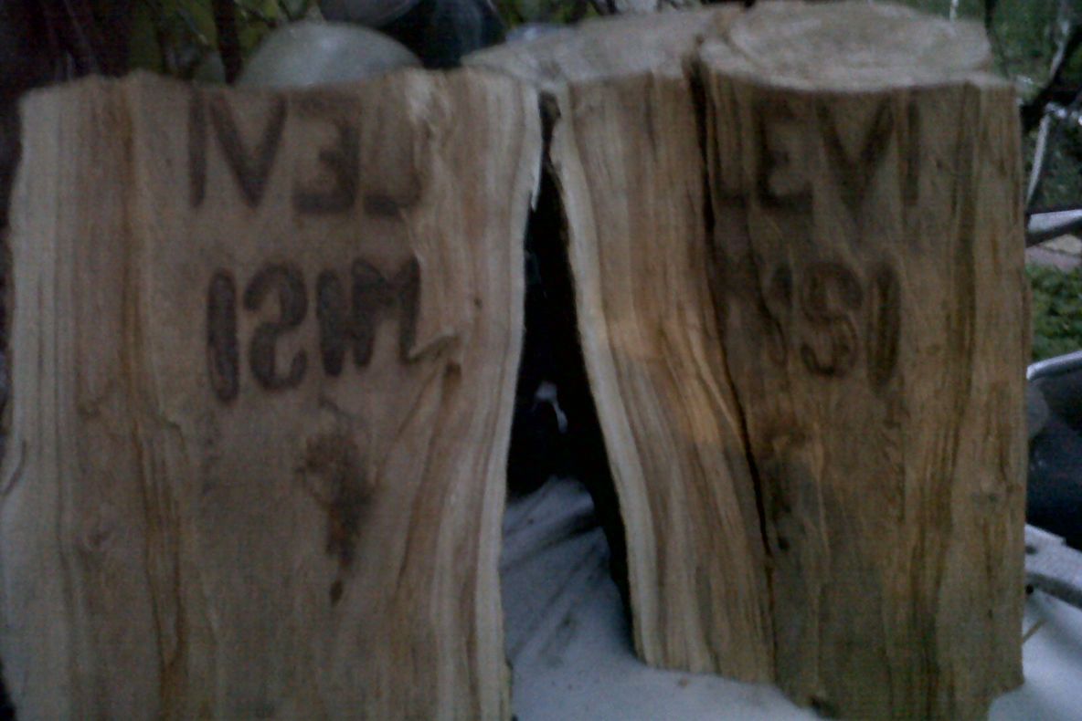 Mesaj misterios găsit de un român într-un butuc de lemn