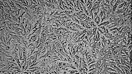 Lucruri mai puțin știute despre lacrimi. Un fotograf a observat un detaliu incredibil