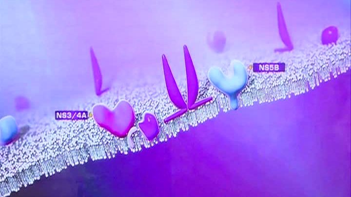 A fost găsit LEACUL PENTRU HEPATITA C 