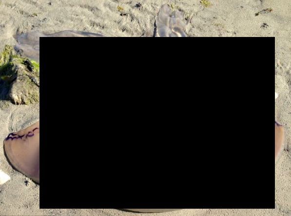 Creatură bizară descoperită pe o plajă