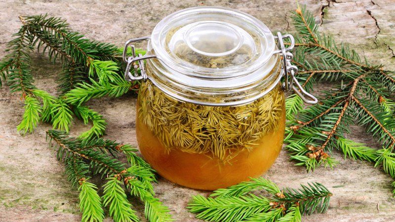Licoare magică. Ce boli vindecă siropul de muguri de pin. Aşa se prepară corect