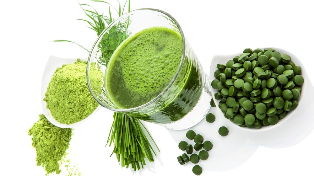 FRESH-REFRESH. Pulbere de iarbă de grâu