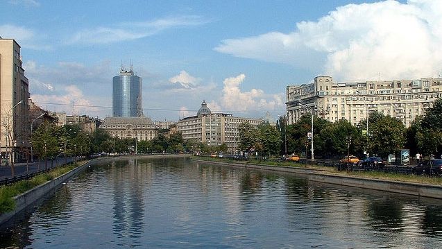 Sute de peşti morţi şi un miros de nesuportat în centrul Capitalei 