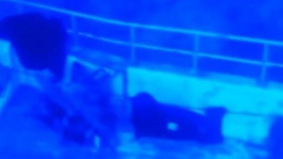 Doi tineri naufragiaţi, găsiţi îmbrăţişaţi pe fundul mării. IMAGINEA TULBURĂTOARE care a şocat lumea