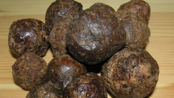 Acesta este ANTIBIOTICUL NATURAL, leacul-minune pentru foarte multe afecţiuni