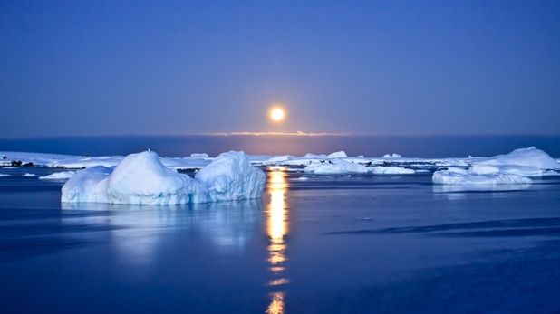"A început şi este de neoprit". Anunţul catastrofal pentru omenire tocmai a fost făcut 