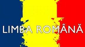 Dragele mele sau dragile mele? Răspunsul s-ar putea să vă surprindă  