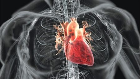 Descoperire uluitoare făcută de un academician român 