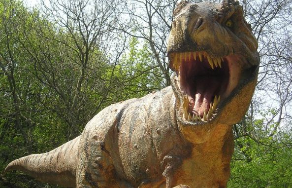 Câte specii de dinozauri mai trăiesc azi pe Pământ? Răspunsul ULUITOR al unui savant
