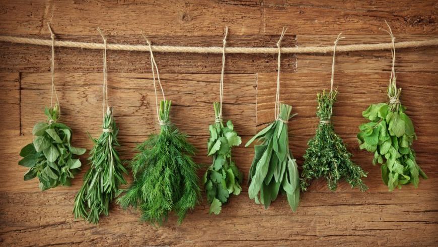 Ierburi aromate şi condimente. 12 utilizări surprinzătoare şi eficiente în casă