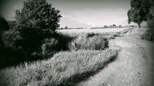 Dispariţia misterioasă a unui atlet: "A devenit transparent și s-a evaporat"