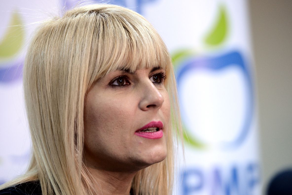 Udrea: PMP organizează o dezbatere în Parlament. Traian Băsescu, invitat 