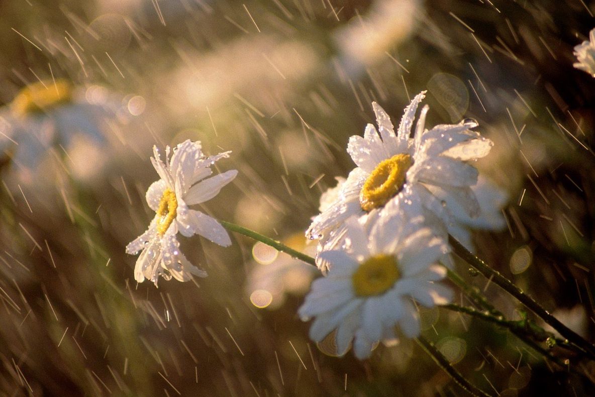 PROGNOZA METEO pentru două săptămâni. Vremea între 16 – 29 IUNIE 2014: vară cu temperaturi de TOAMNĂ